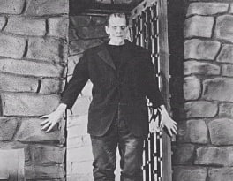 Frankenstein - OTR Picture